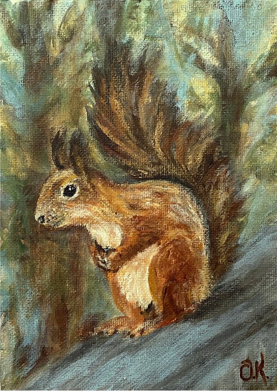 Squirrel