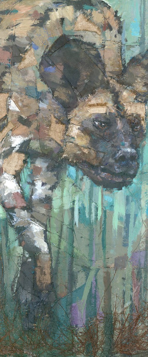 African Wild Dog by Steve Mitchell