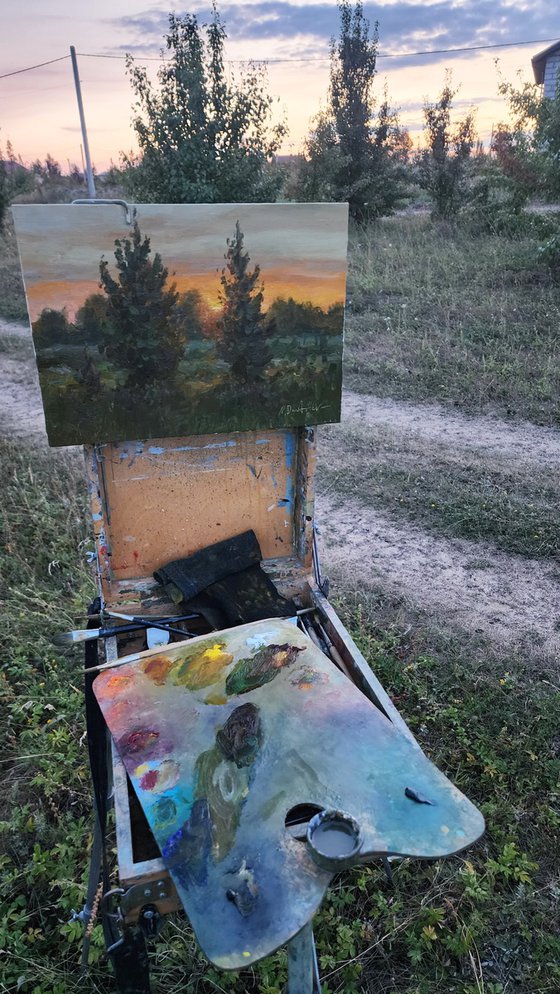 Touch Of Sunlight