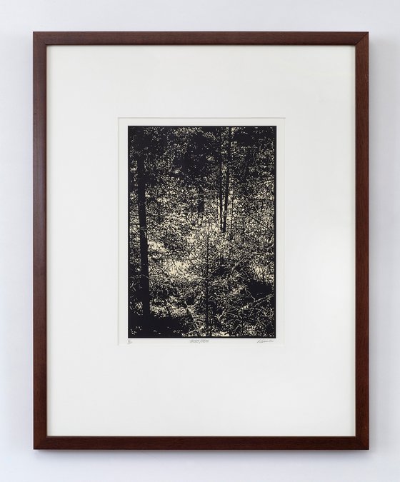 THICKET / PECOS