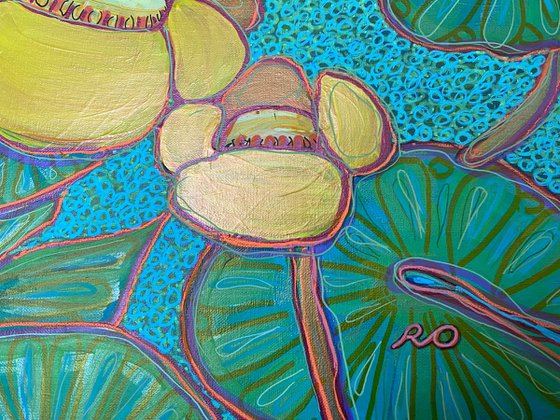 Yellow water Lilies
