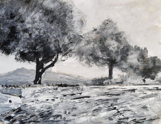 Olive trees