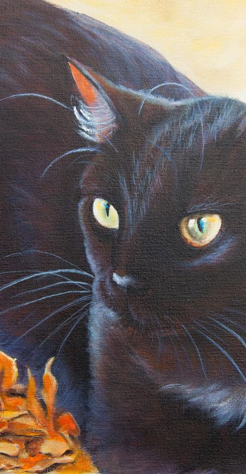 Black cat 3 by Norma Beatriz Zaro