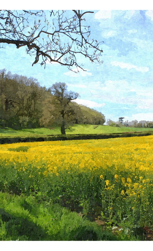 Spring Into Yellow by David Lacey