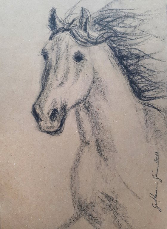 Horse 3 Sketch  /  ORIGINAL PAINTING