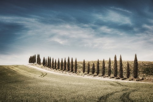 Tuscan white road with cypresses by Karim Carella