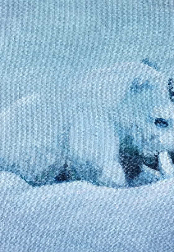 Waiting for Warmth