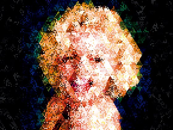 Monroe digital