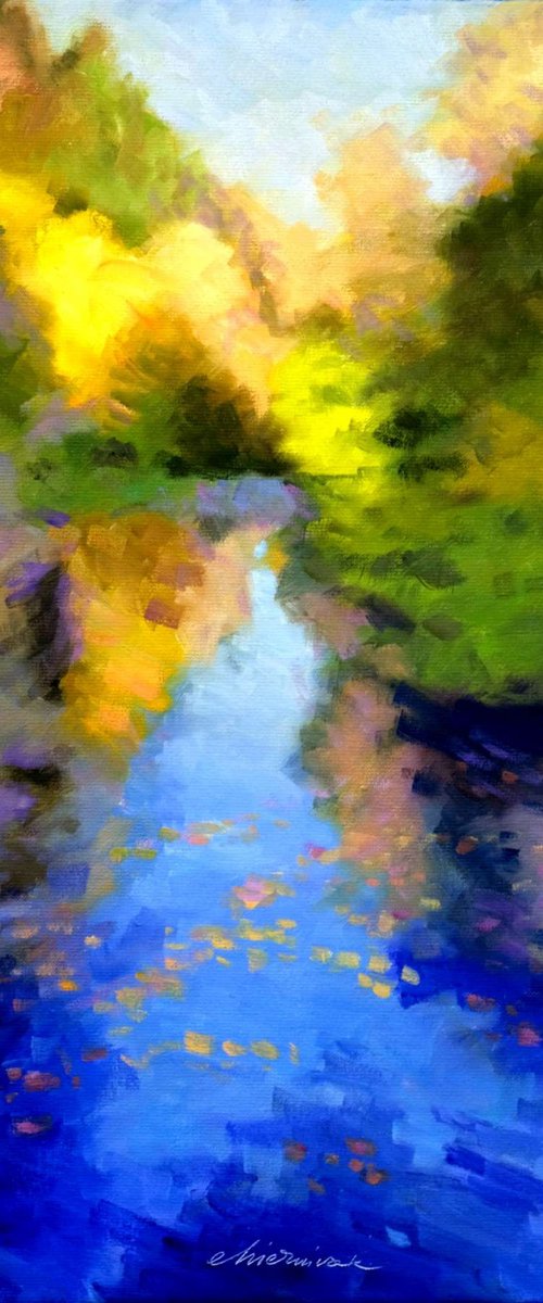 in the Black Forest 1. by Richard Mierniczak