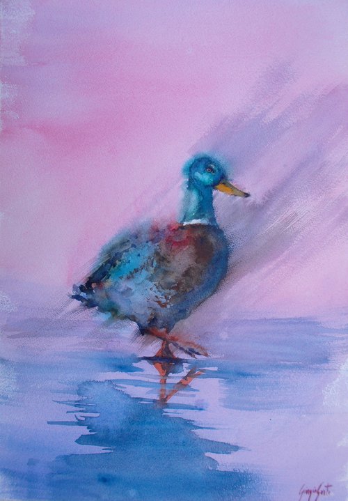 duck by Giorgio Gosti