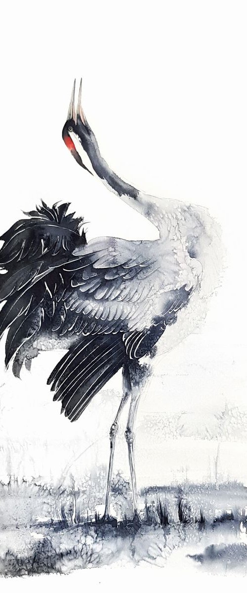 Common crane,  birds, wildlife watercolours by Karolina Kijak