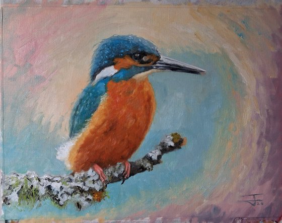 Kingfisher on the lichen