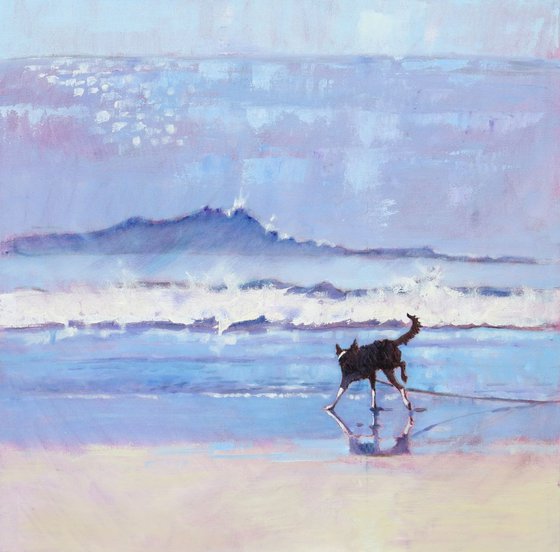 Border Collie Dog Grace Encounters a Wave. No 2