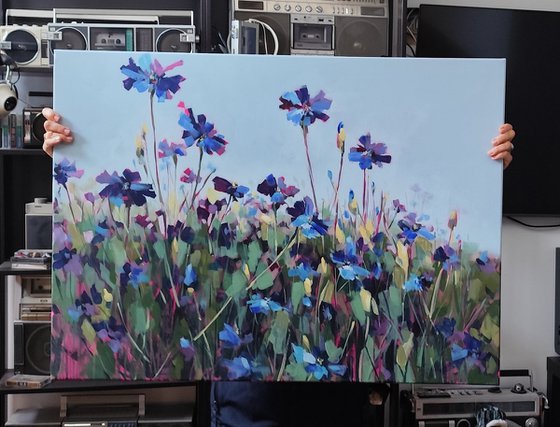Cornflower field
