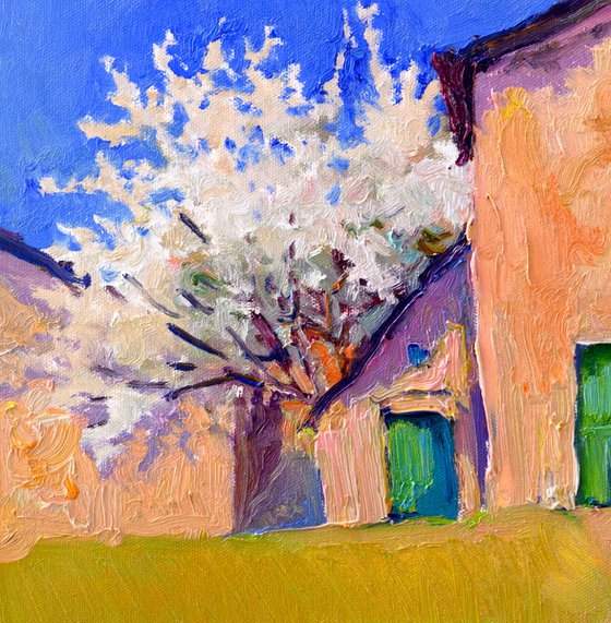 Mediterranean Village, Spring Landscape