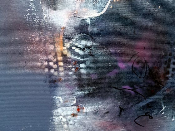 Nocturnal Calligraphy and Traces on Snow