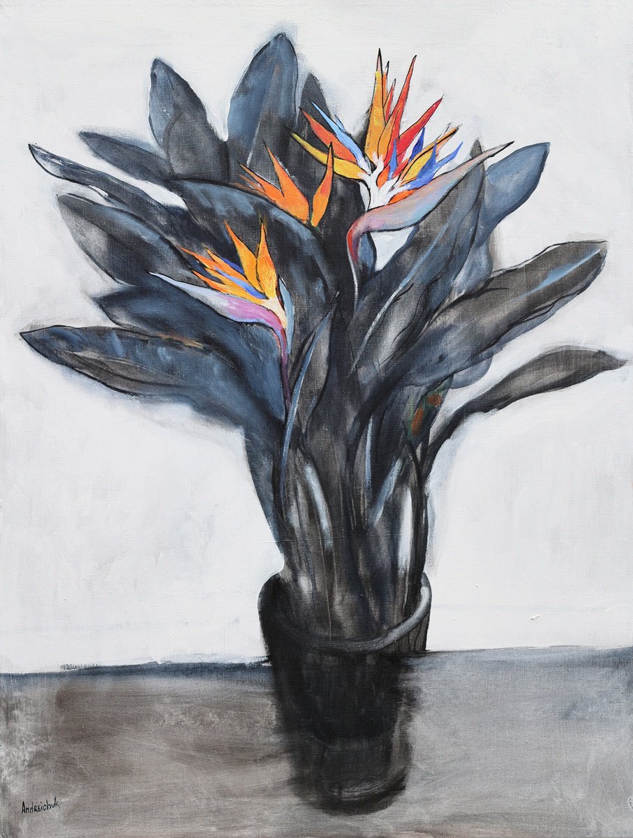 Strelitzia (Bird Of Paradise) By Artem Andreichuk, 31 X 41, Artwork For Sale On Artfinder