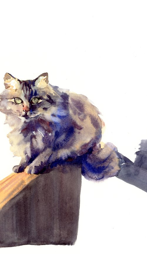 Stray cat in watercolor, Animal, Sun and shadows painting by Yulia Evsyukova