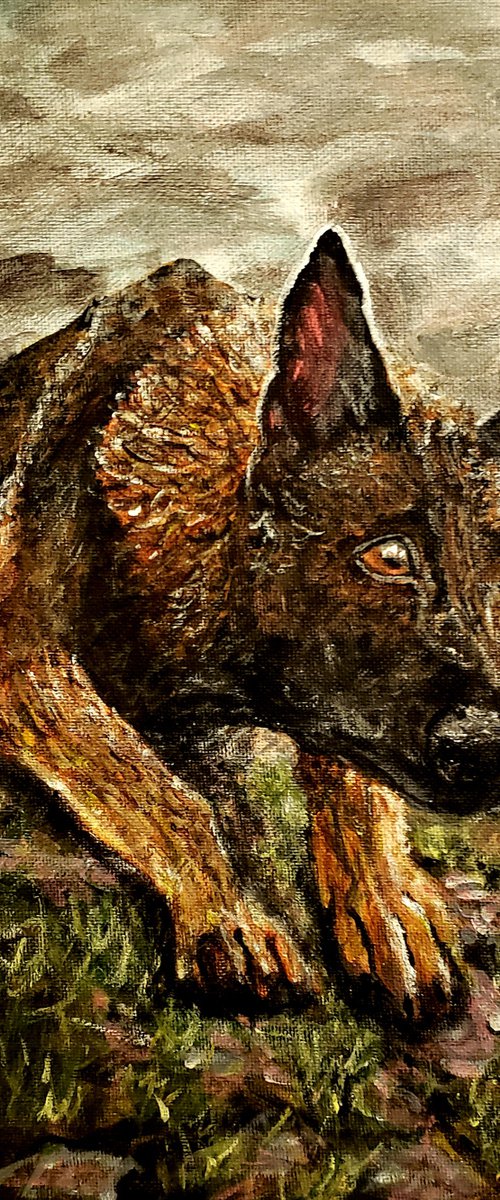 Eyes Of Bravery by Robbie Potter