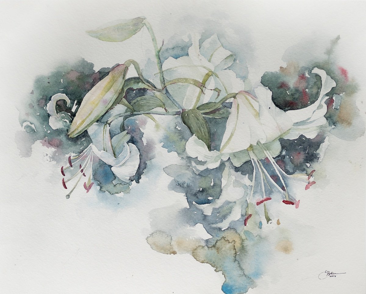 White lilies by Ekaterina Pytina