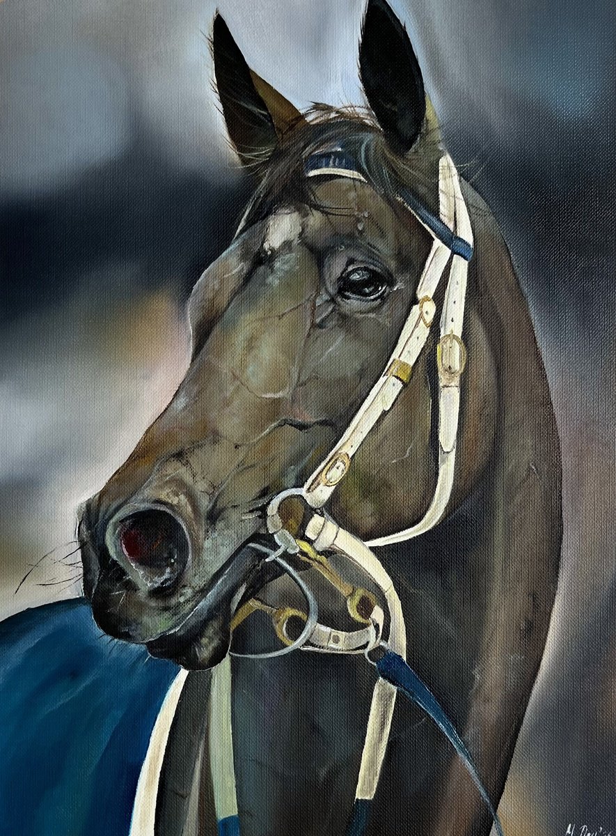 Photorealistic Animal Oil Painting By Myroslava Denysyuk, 9 X 13", Horse Portrait Sprinter, Original Artwork