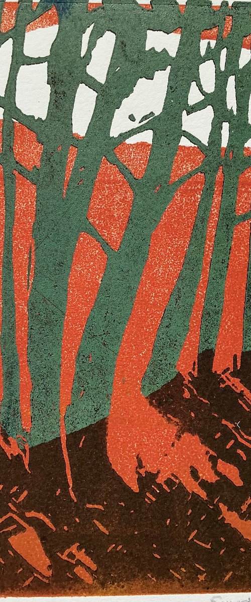 Trees and Shadows by Sandra Haney