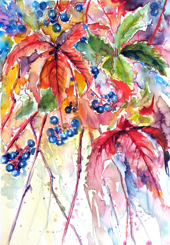Wildgrapes