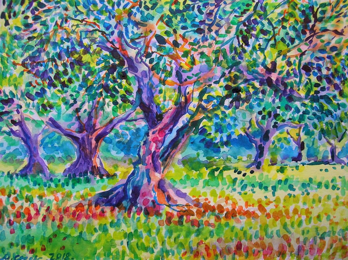 Old olive orchard IV by Maja Grecic