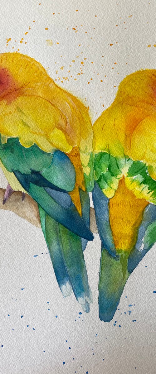 Sun conures no.3 watercolour painting by Bethany Taylor