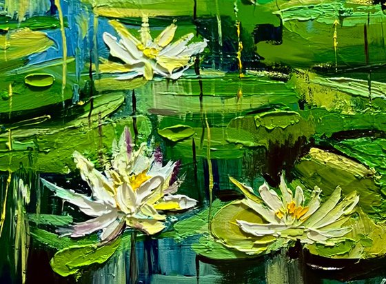 Floating Lilies
