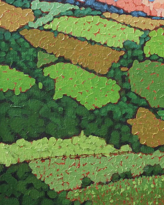Patchwork Fields