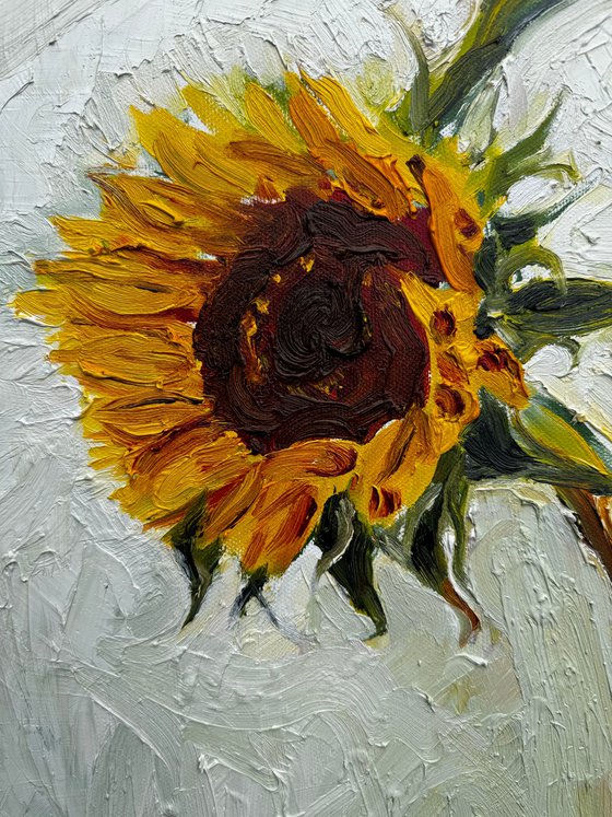 Sunflower1