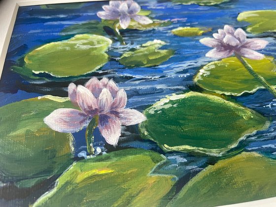 Lilac water lilies