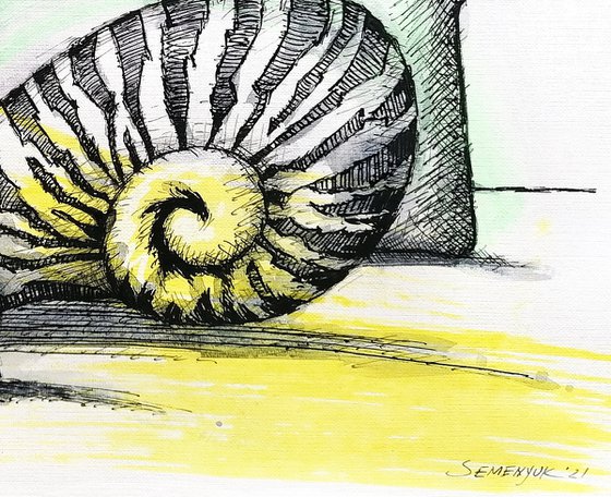 Still life with shell
