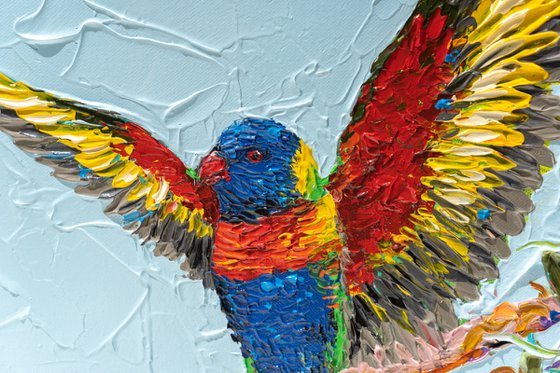 Rainbow Lorikeet 2