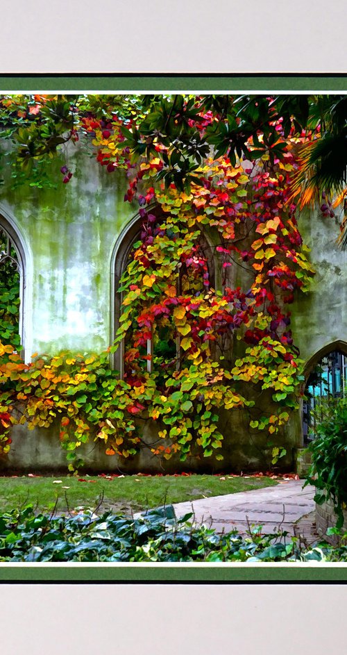 Abandoned church London by Robin Clarke