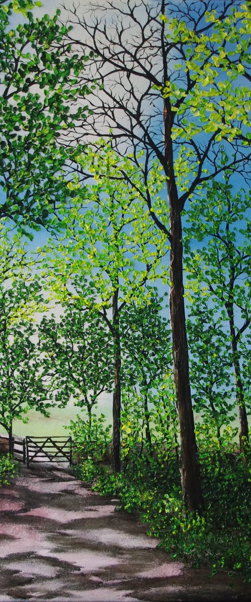 Dappled Light by Hazel Thomson