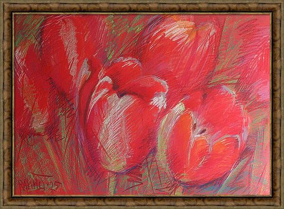 Tulips Red