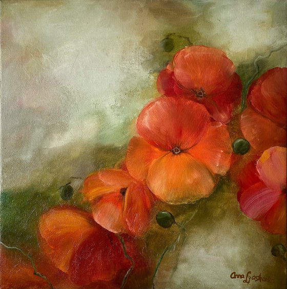 Poppies on Olive