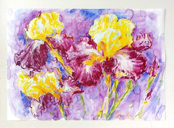 Flower power - Irises #4