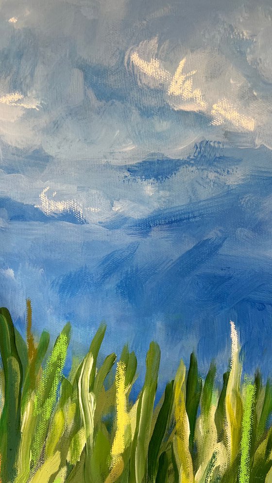 Summer Without End