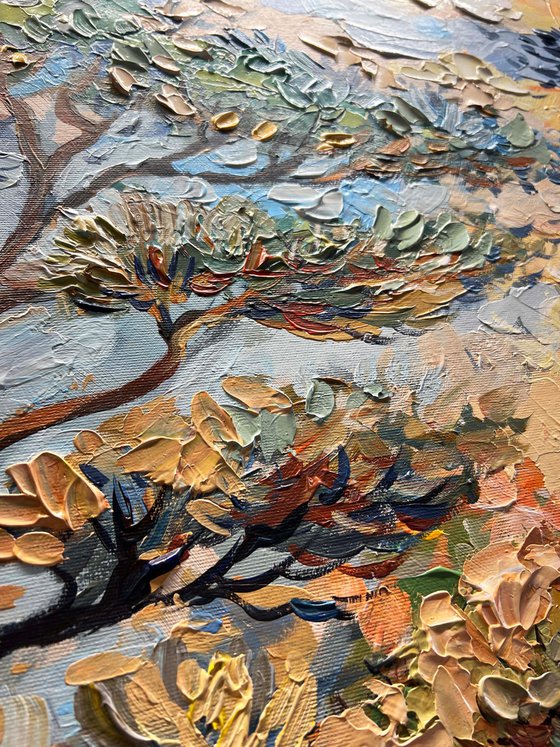 Coastal Pines
