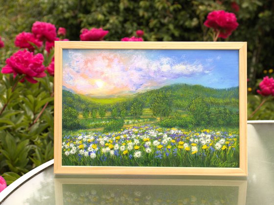 Dandelion field