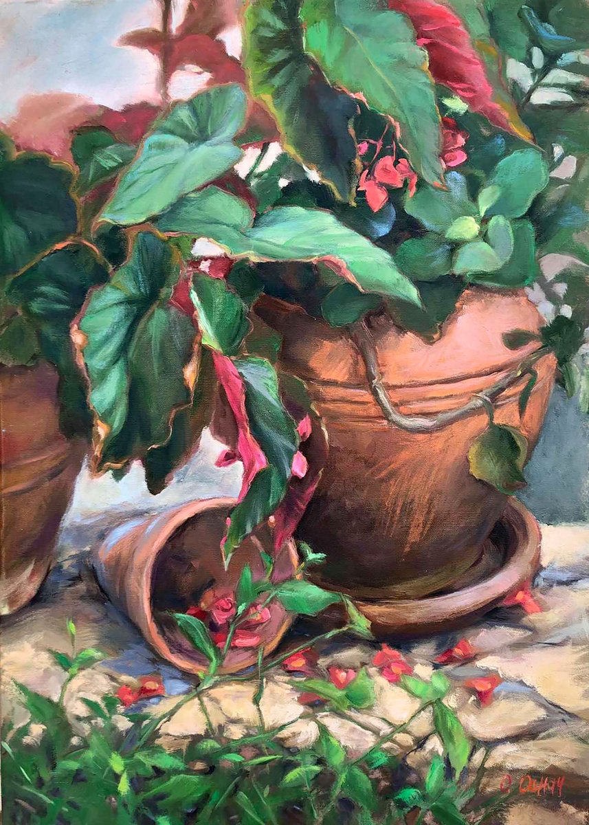 Impressionistic Botanical Oil Painting By Procach Olesia, 20 X 28", Begonia, Original Artwork
