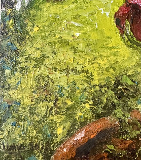 Flowers from my garden 5