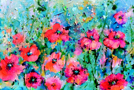 Wild Red Poppy, Poppies Field