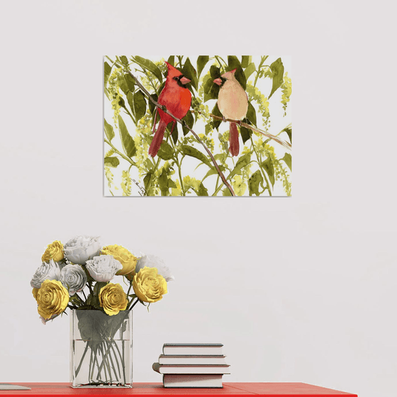 Cardinal Birds
