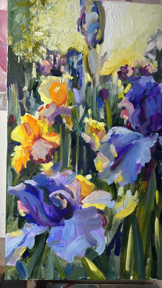 Beautiful irises are blooming in the garden