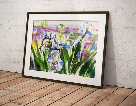 Irises from Vullierens