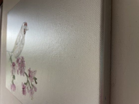 Goldfinch on Cherry Blossom
